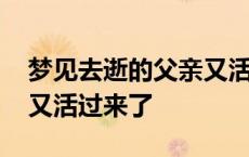 梦见去逝的父亲又活过来了 梦见去世的父亲又活过来了 