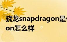 骁龙snapdragon是什么型号 骁龙snapdragon怎么样 