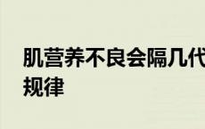 肌营养不良会隔几代遗传 肌营养不良的遗传规律 