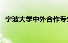 宁波大学中外合作专业 宁波大学中外合作 