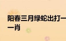 阳春三月绿蛇出打一动物 阳春三月绿树绿打一肖 