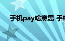 手机pay啥意思 手机pay是什么意思啊 