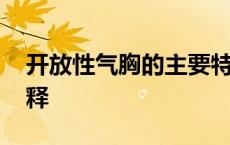 开放性气胸的主要特点是 开放性气胸名词解释 