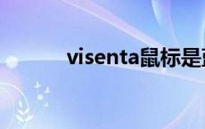 visenta鼠标是蓝牙么 visenta 