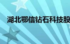 湖北鄂信钻石科技股份有限公司 湖北e信 