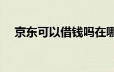 京东可以借钱吗在哪里 京东可以借钱吗 