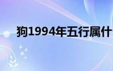 狗1994年五行属什么 94年五行属什么 