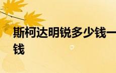 斯柯达明锐多少钱一格油 斯柯达新明锐多少钱 