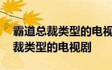 霸道总裁类型的电视剧不由你男主帅 霸道总裁类型的电视剧 