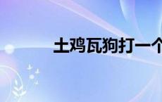 土鸡瓦狗打一个生肖 土鸡瓦狗 