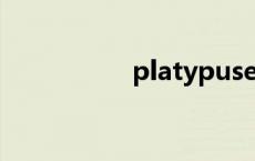 platypuse platypus 