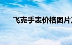 飞克手表价格图片及价格表 飞克手表 