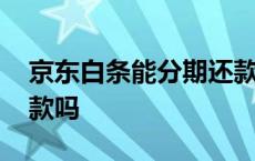 京东白条能分期还款吗 京东白条可以分期还款吗 