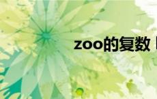 zoo的复数 hero的复数 