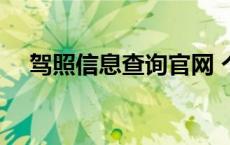 驾照信息查询官网 个人驾驶证状态查询 