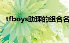 tfboys助理的组合名 tfboys的助理分别是谁 