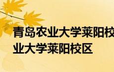 青岛农业大学莱阳校区是海都学院吗 青岛农业大学莱阳校区 