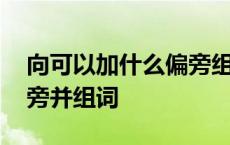 向可以加什么偏旁组什么词 向可以加什么偏旁并组词 