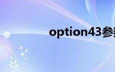 option43参数 option43 