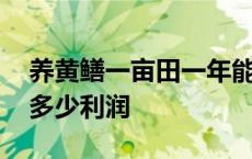 养黄鳝一亩田一年能挣多少钱 养殖一亩黄鳝多少利润 