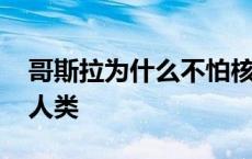 哥斯拉为什么不怕核弹 哥斯拉为什么不攻击人类 