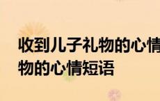 收到儿子礼物的心情短语母亲节 收到儿子礼物的心情短语 