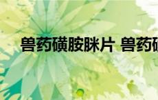 兽药磺胺脒片 兽药磺胺类药物有哪些药 