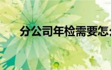 分公司年检需要怎么年检 分公司年检 