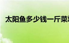 太阳鱼多少钱一斤菜场 太阳鱼多少钱一斤 