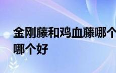 金刚藤和鸡血藤哪个好一点 金刚藤和鸡血藤哪个好 