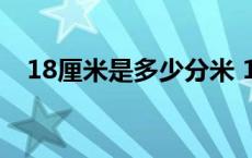 18厘米是多少分米 18厘米是几分之几米 