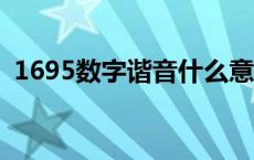 1695数字谐音什么意思 16500是什么谐音 