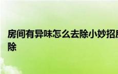 房间有异味怎么去除小妙招房间去甲醛花 房间有异味怎么去除 