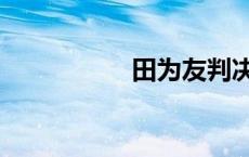 田为友判决书 田为友 