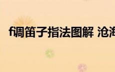 f调笛子指法图解 沧海一声笑 f调笛子指法 