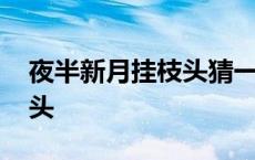 夜半新月挂枝头猜一字猜一字 夜半新月挂枝头 