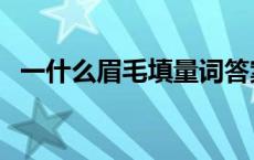 一什么眉毛填量词答案 一什么眉毛填量词 