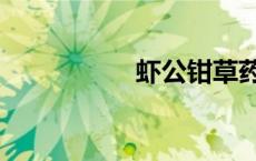 虾公钳草药图片 虾公 