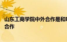 山东工商学院中外合作是和哪个国家合作 山东工商学院中外合作 