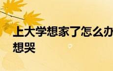 上大学想家了怎么办特想哭 想家了怎么办特想哭 