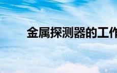 金属探测器的工作原理 金属探测器 