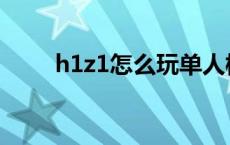 h1z1怎么玩单人模式 h1z1怎么玩 