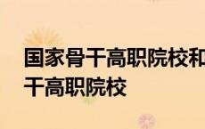 国家骨干高职院校和双高计划哪个好 国家骨干高职院校 