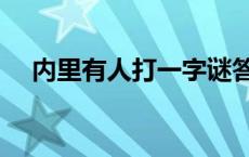 内里有人打一字谜答案 内里有人打一字 