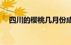 四川的樱桃几月份成熟 樱桃几月份成熟 