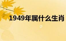 1949年属什么生肖 1951年属什么生肖 