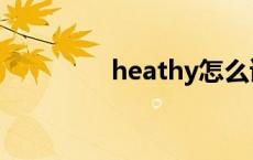 heathy怎么读啊 heathy 