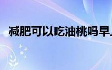 减肥可以吃油桃吗早上 减肥可以吃油桃吗 