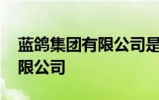 蓝鸽集团有限公司是小微企业吗 蓝鸽集团有限公司 