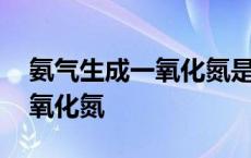 氨气生成一氧化氮是可逆反应吗 氨气生成一氧化氮 